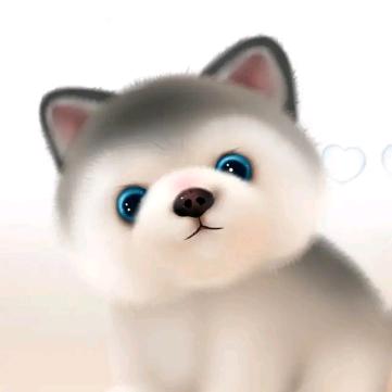 :c
