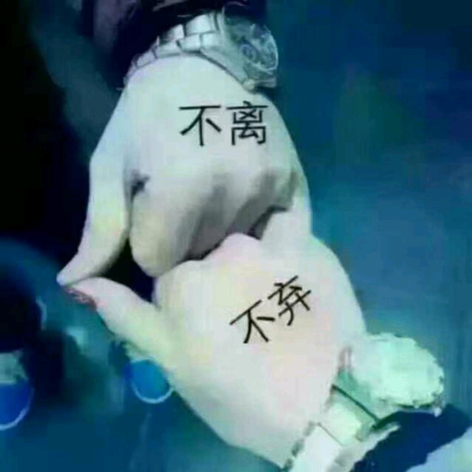 陪你浪迹天崖