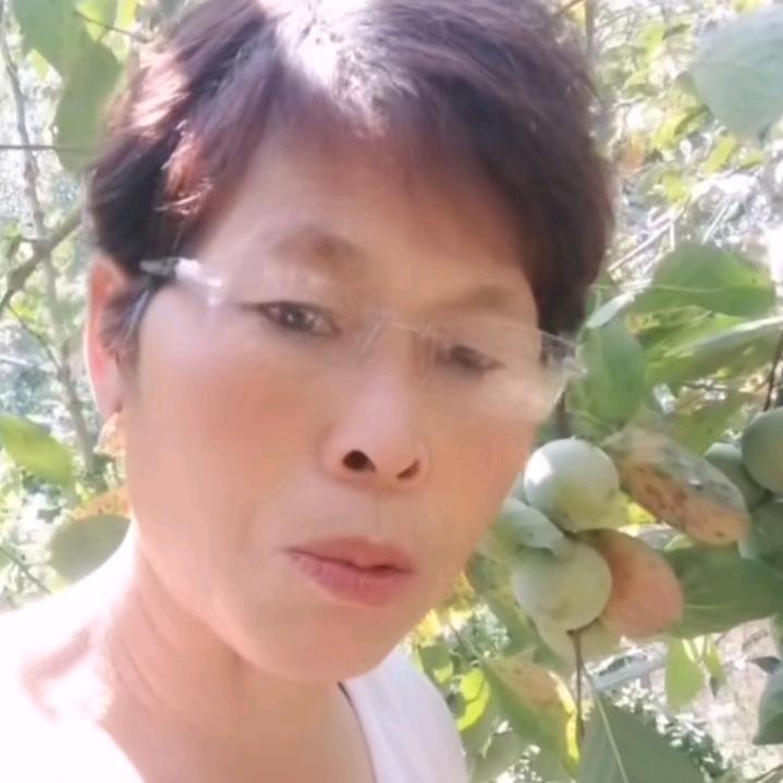 夏天姐  下午3：30