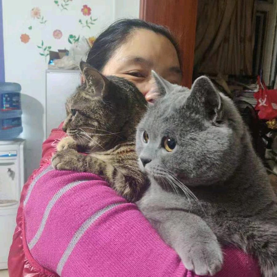 白狐