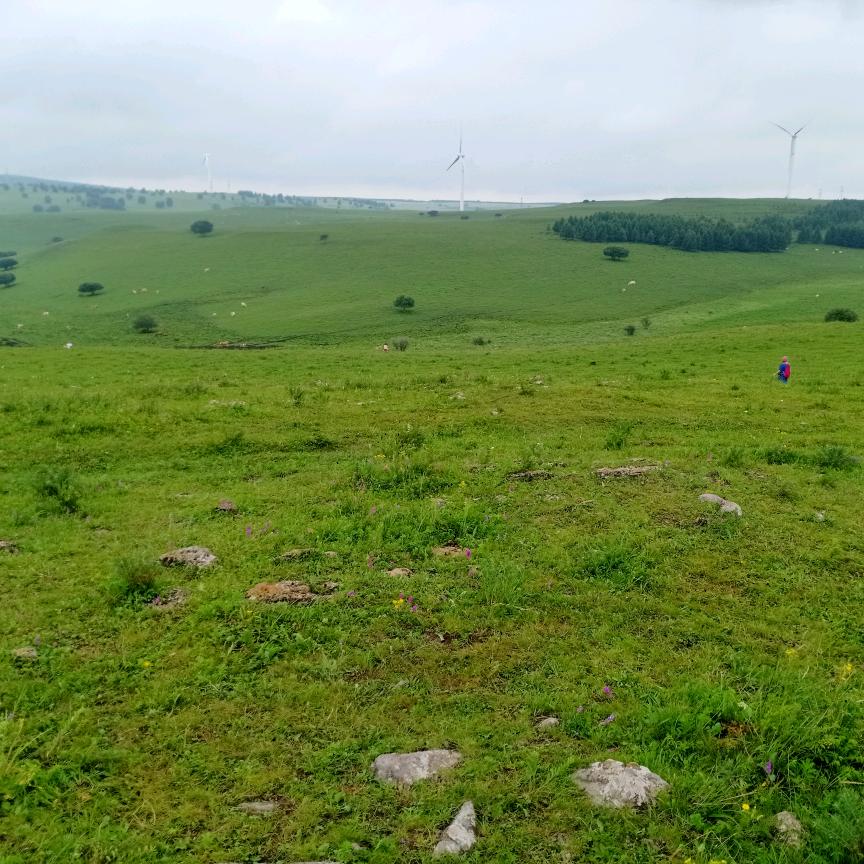 春芳-文安廊坊拼车(商贸带货)