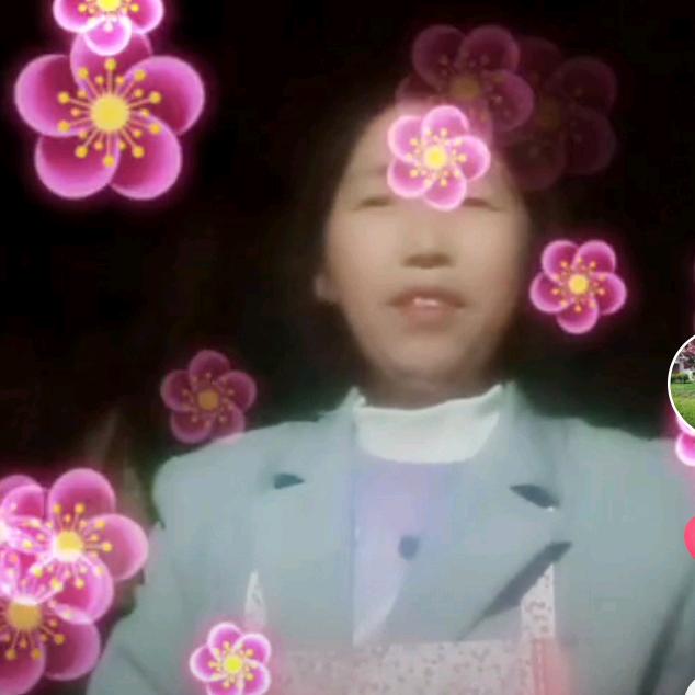 🌸百合花🌸