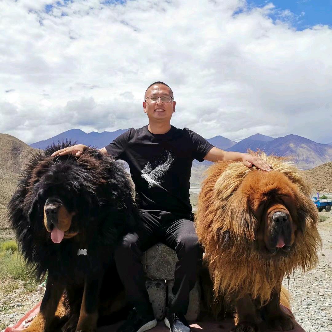 挖机出租销售张永文