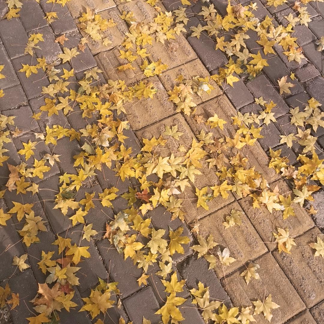 辉杰吉祥
