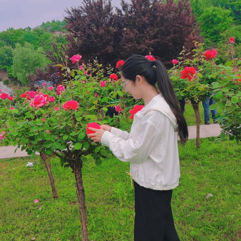 恰似惊鸿落人间