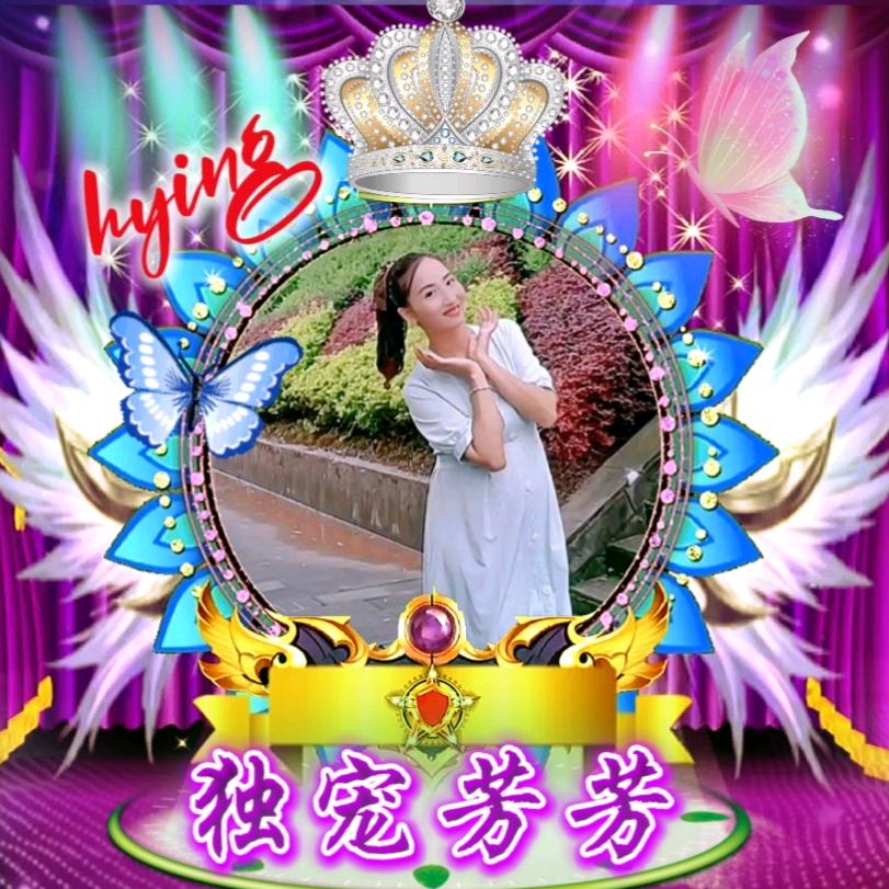 @南溪宠芳芳