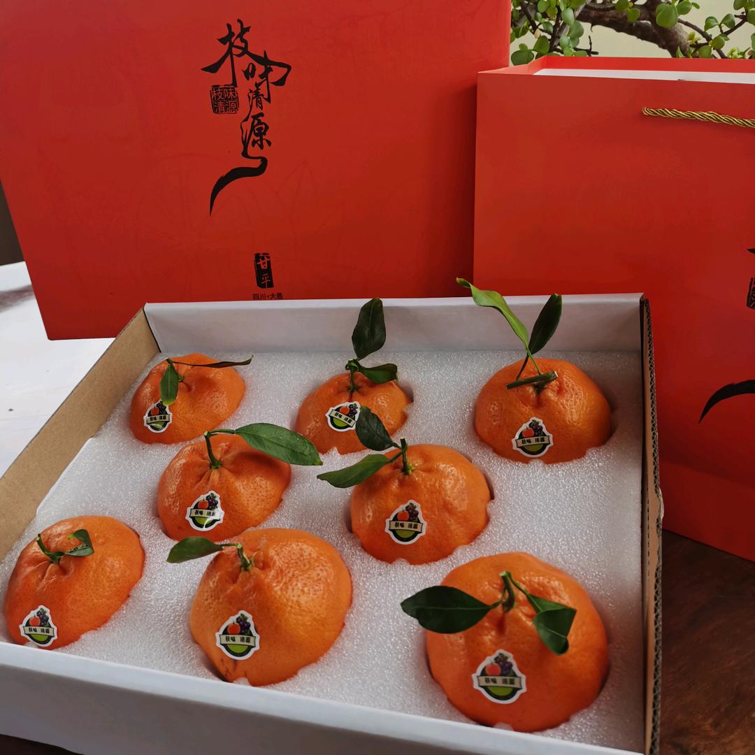 🍊橘懂事长🍇