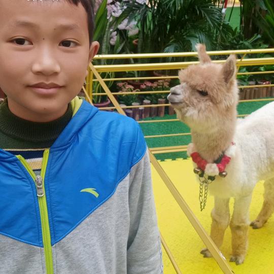 雷电小伙1