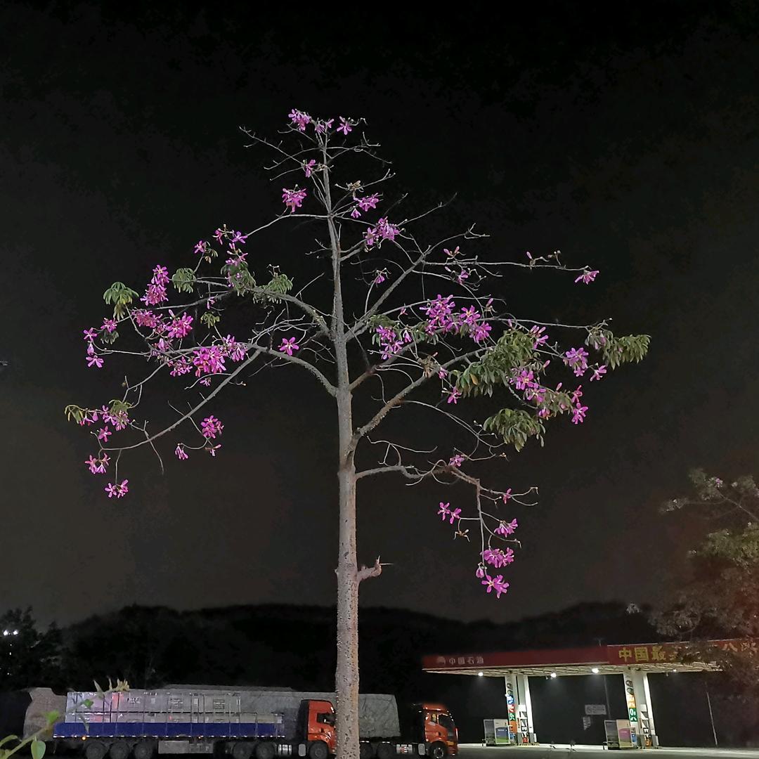 刃迎缕解
