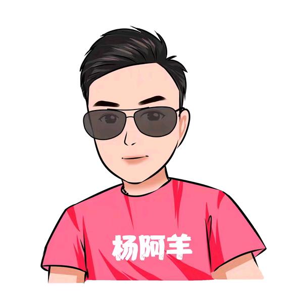 小杨玩车