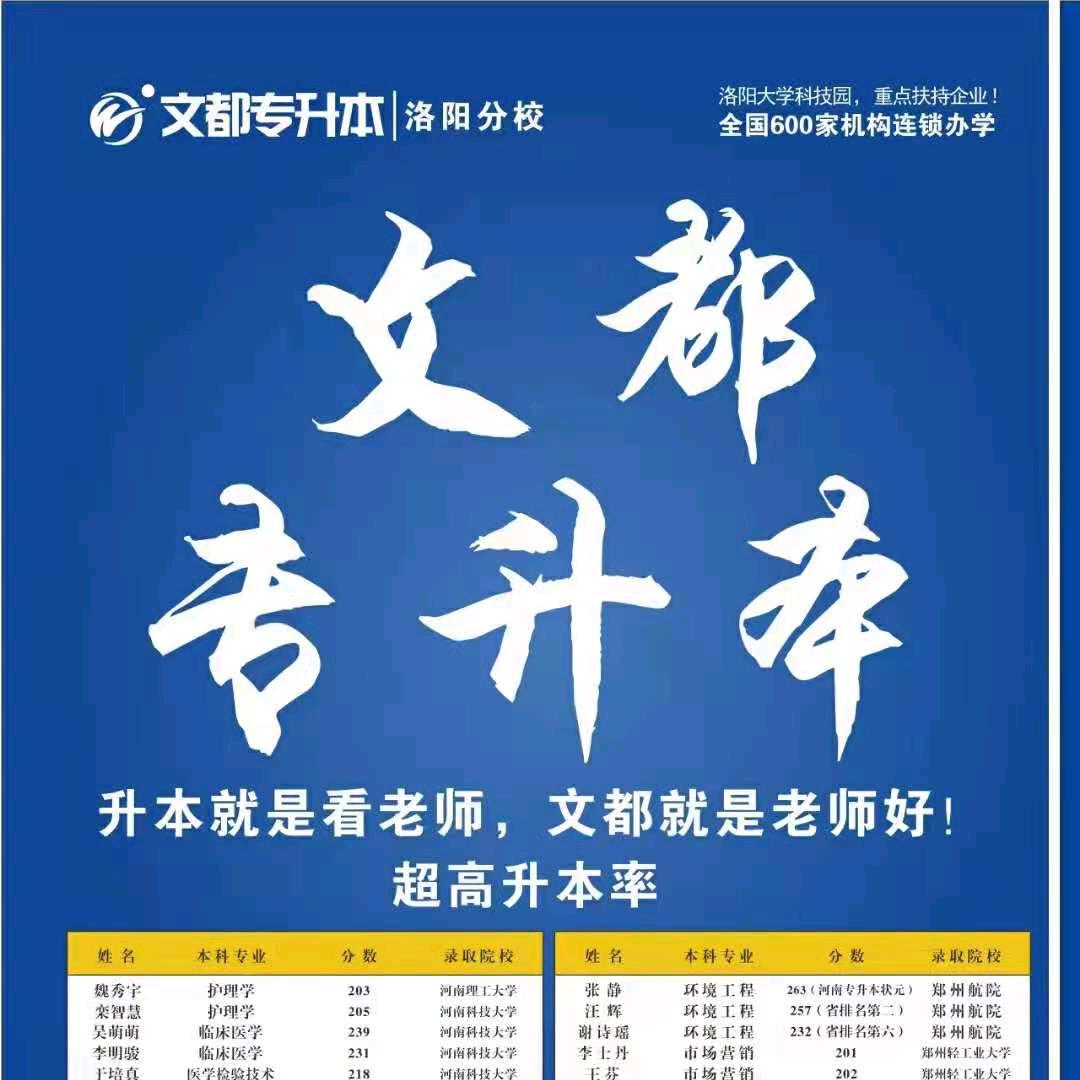 洛阳文都-李老师