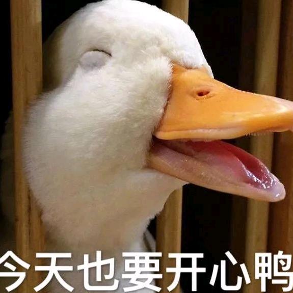 搞笑视频