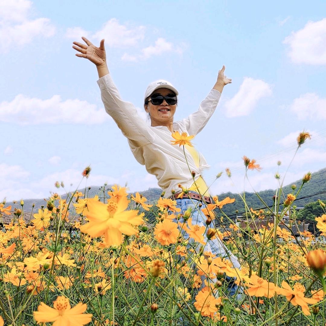 向日葵🌼