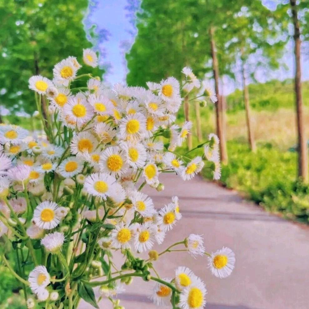 赵俊