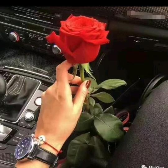 Pa 🌹