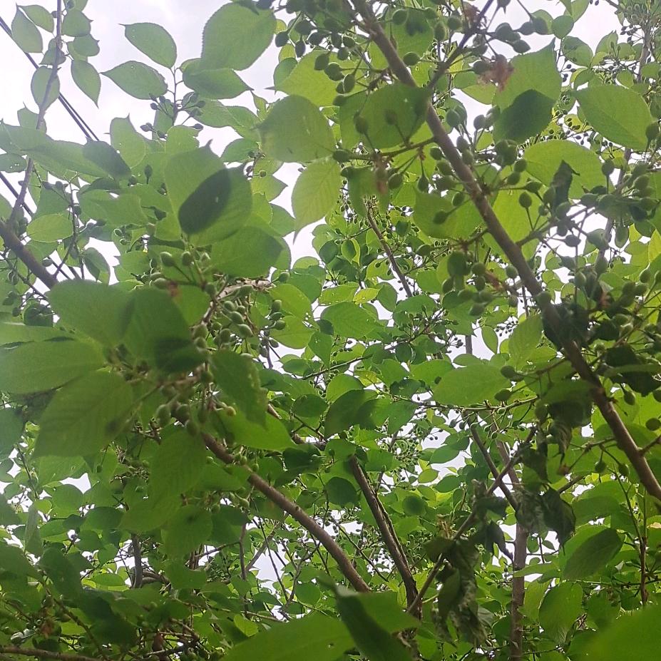 相守一生