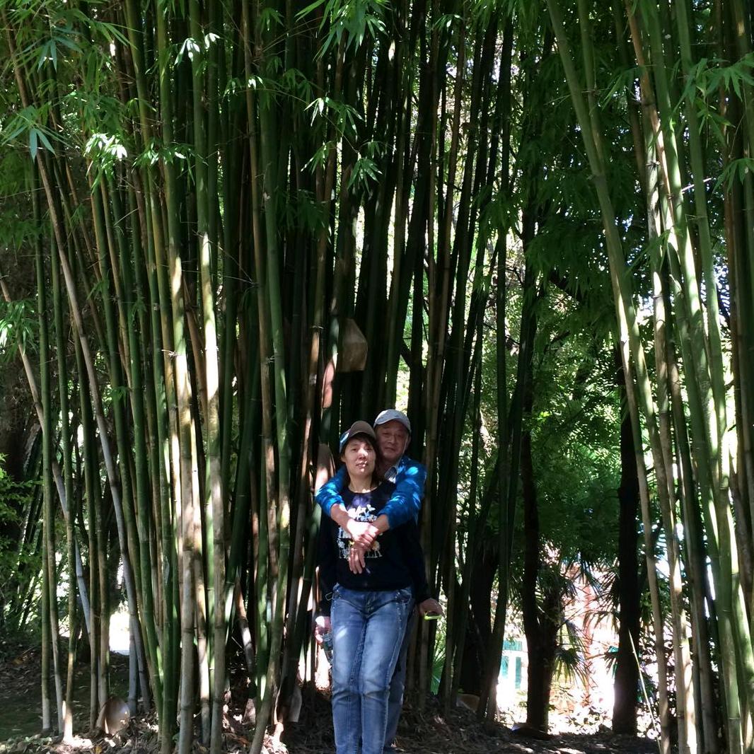 金波家牛羊肉