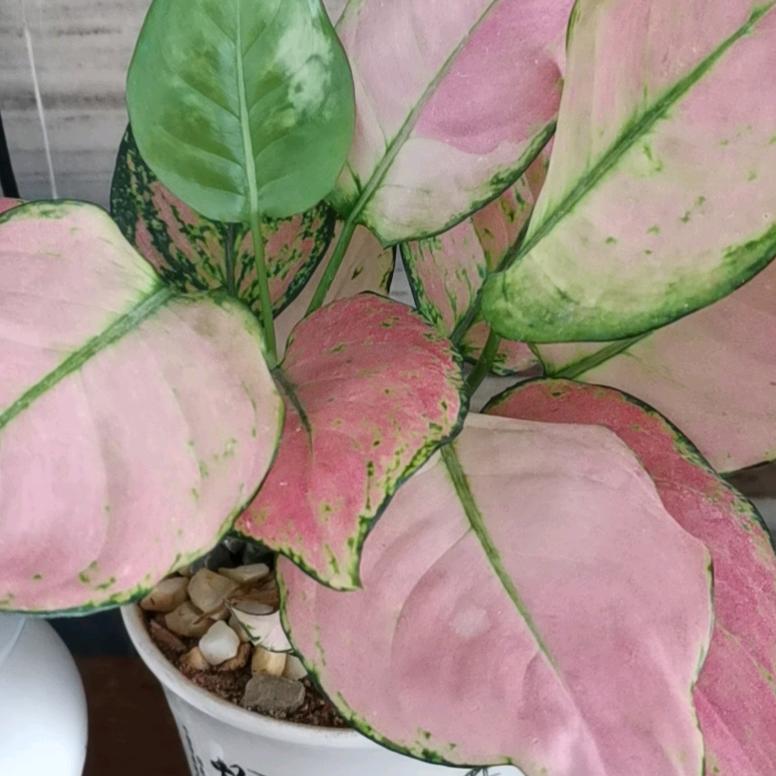 泉州万路发物流贵州专线