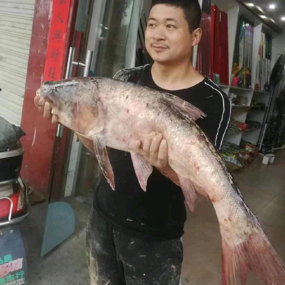 阳城.户外钓具