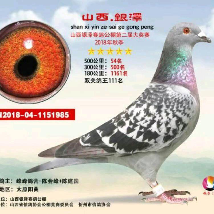 一帆风顺，，陈