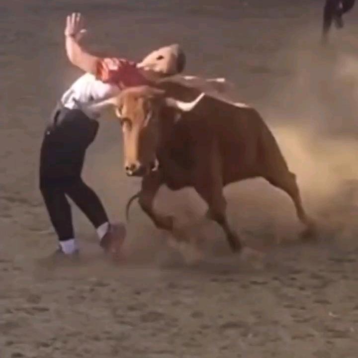 华英姐在西班牙