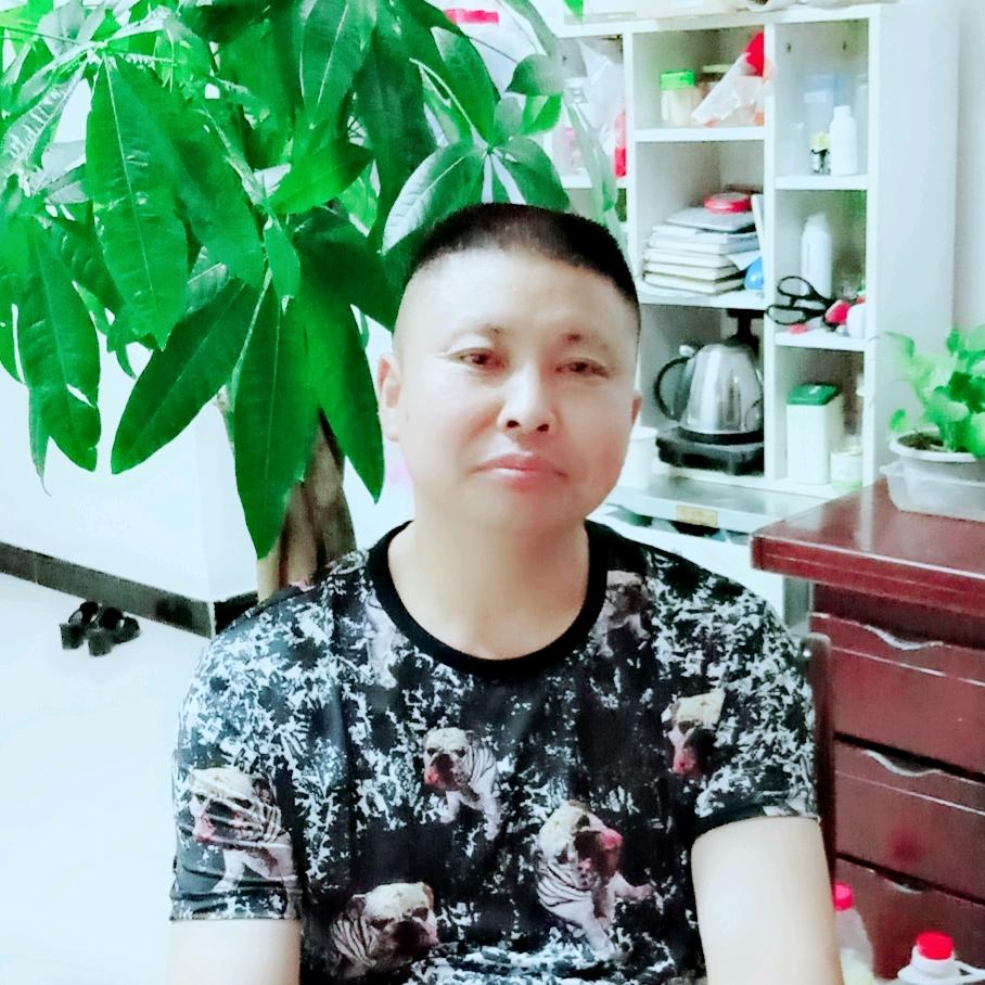龙的传人