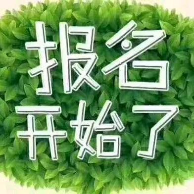 金牌石教练