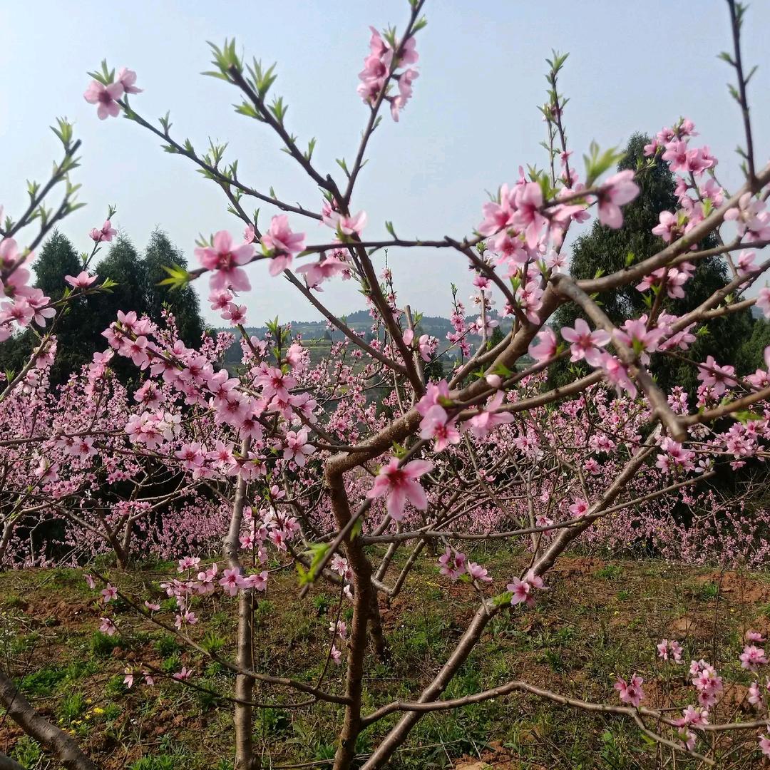 16672明天会更好