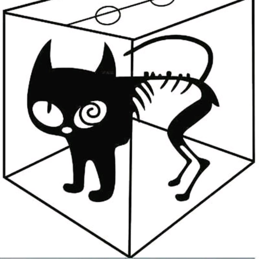 薛定谔🐱