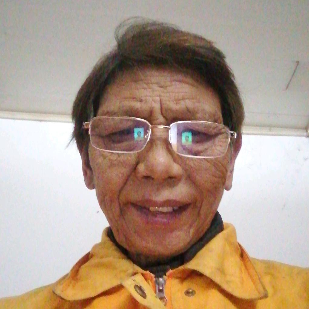 好多牛