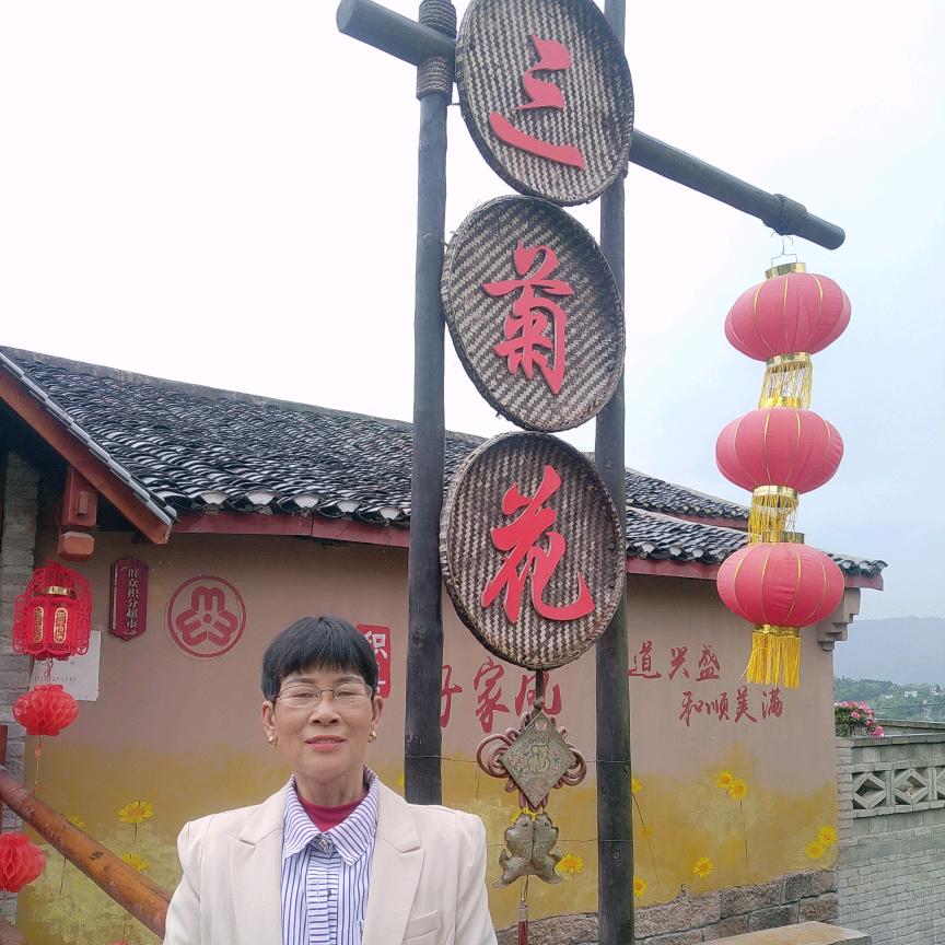 厚坝镇青坪村三菊花