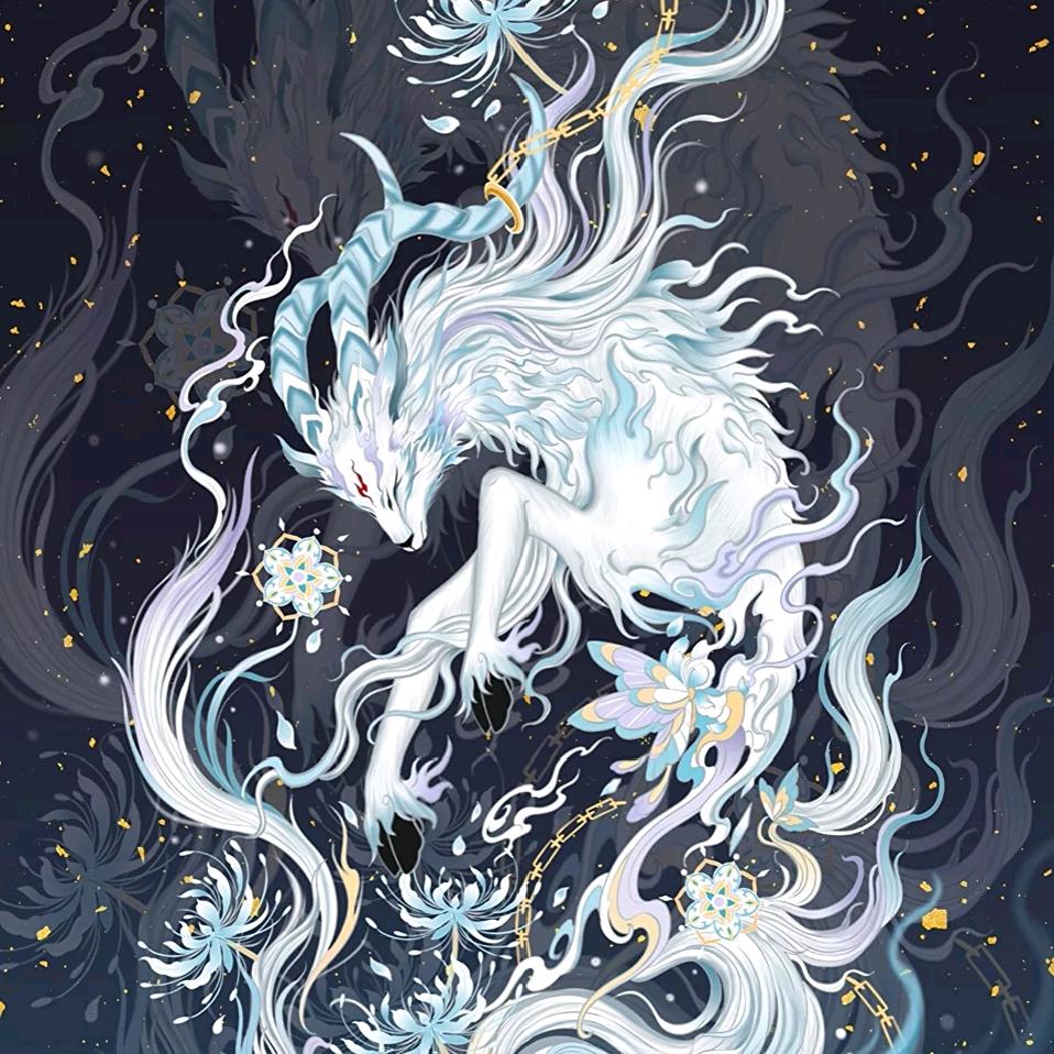 开开心心美一天