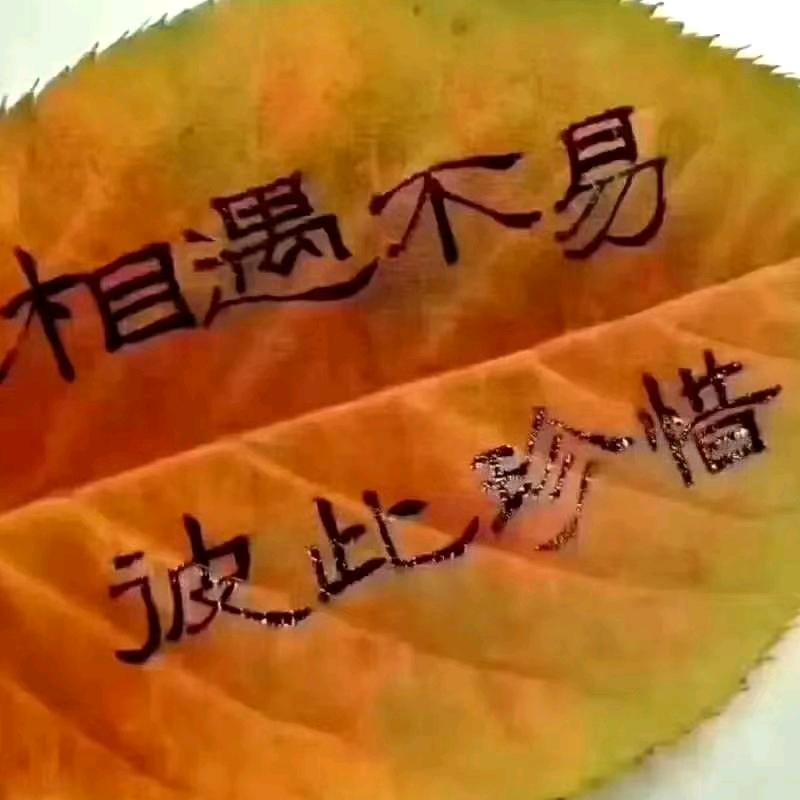 一切随缘