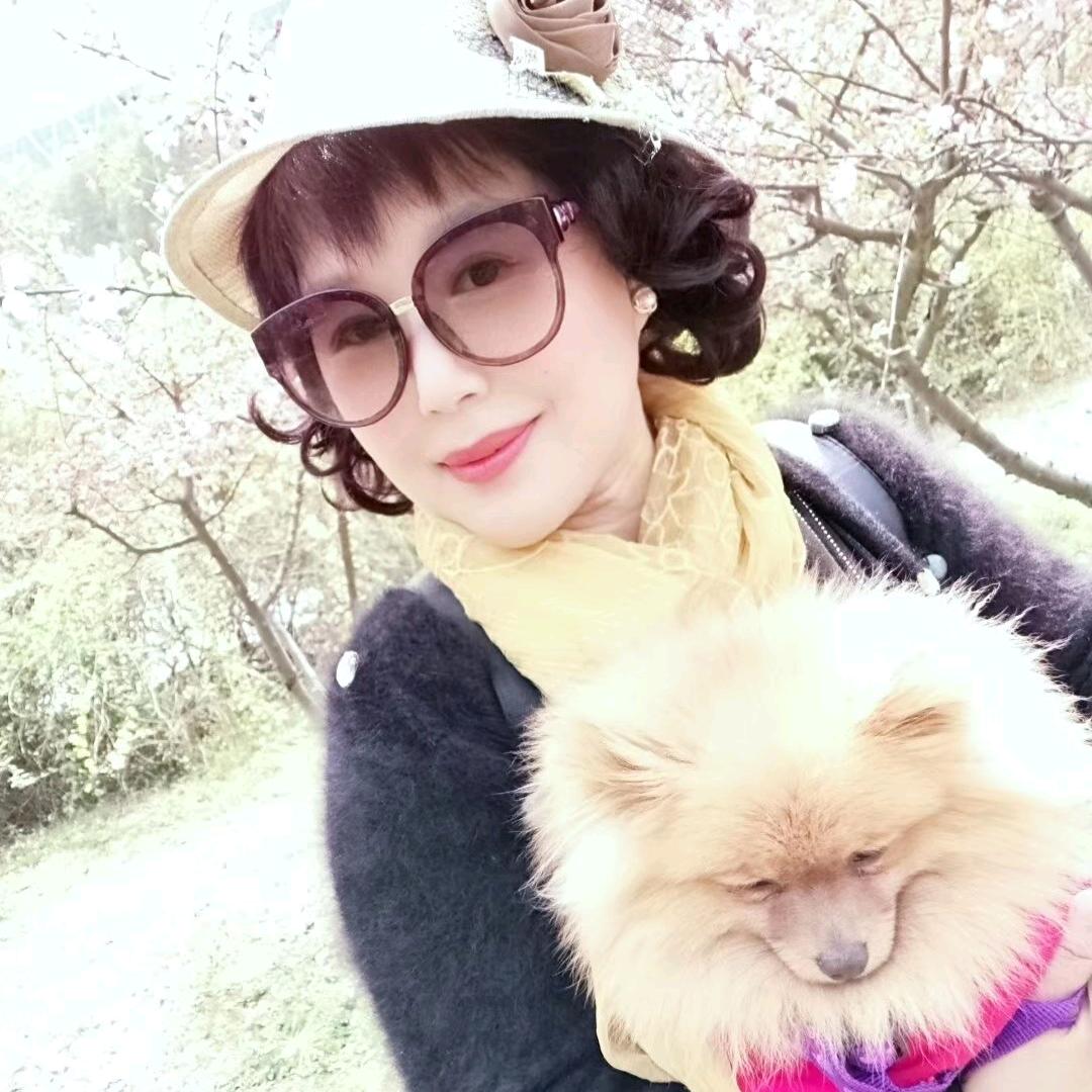 凤舞🔥傲雪寒梅