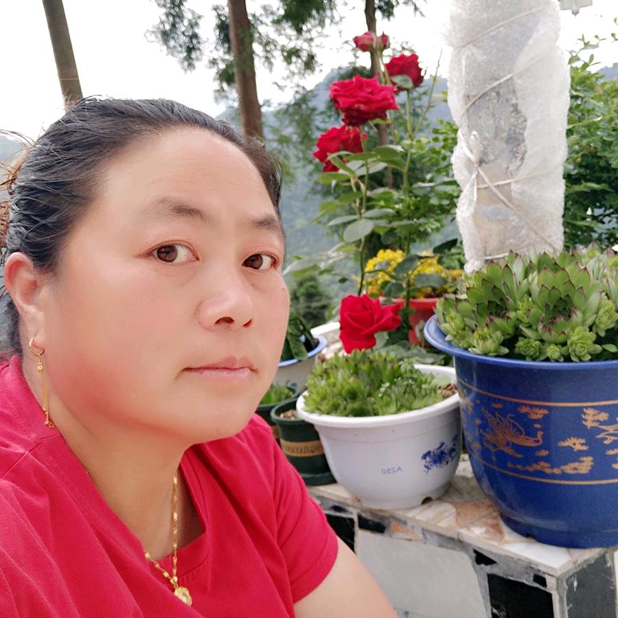 凤姐