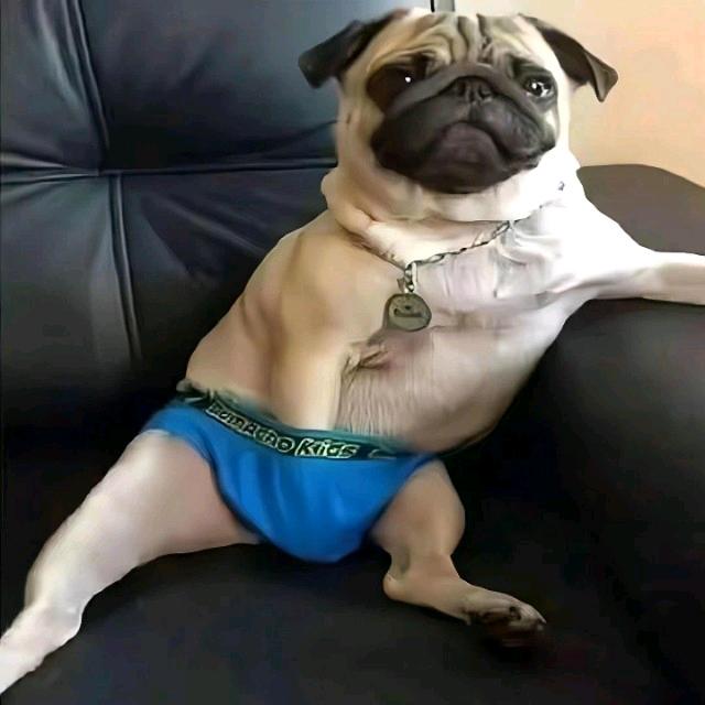 .............