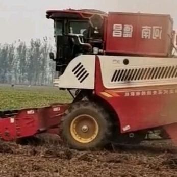 shandong2941