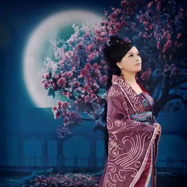 🌸紫云轩🌸