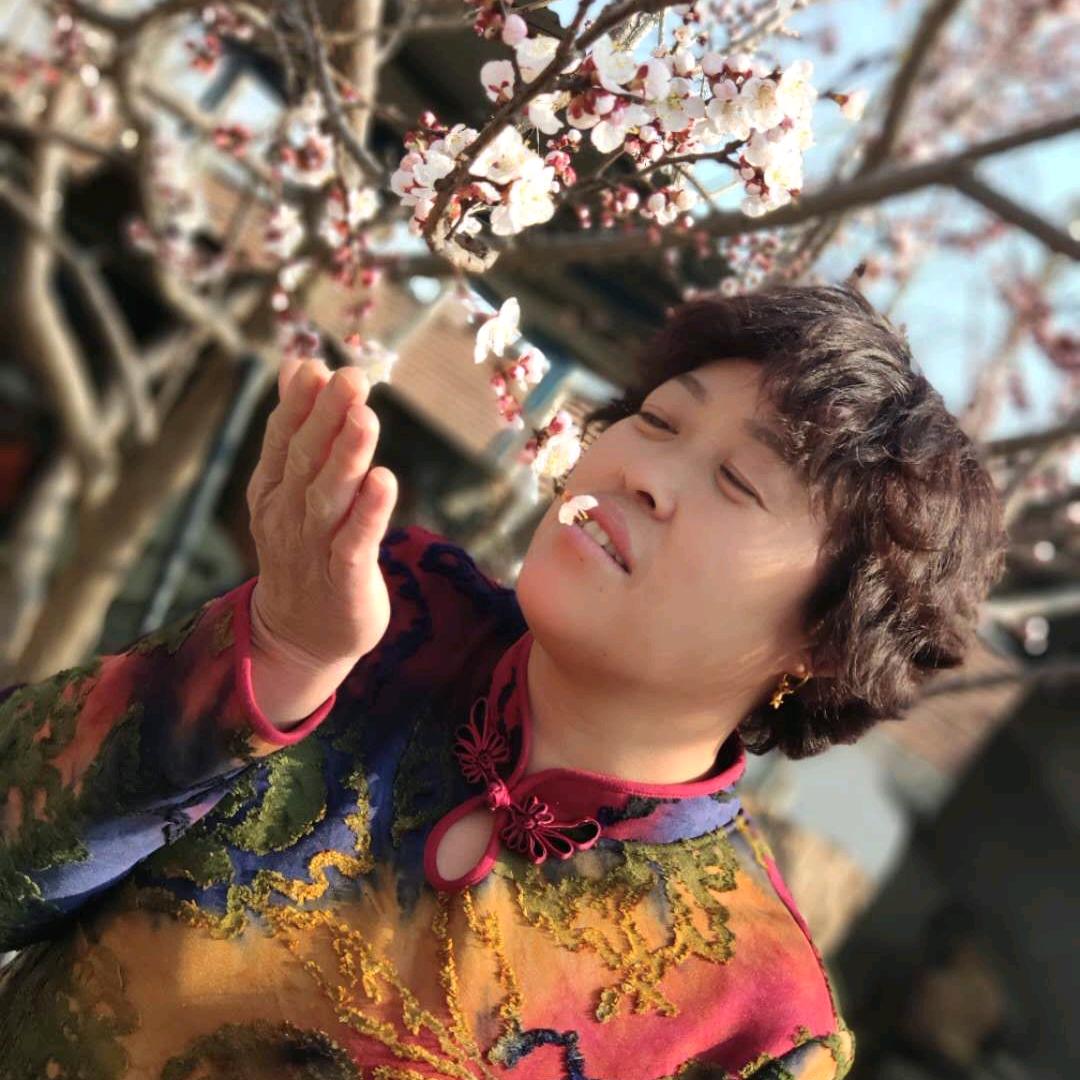 糖宝