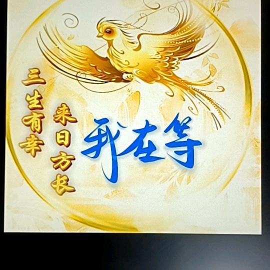 小施