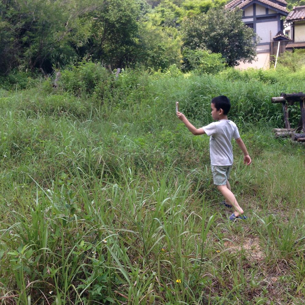 娇姐