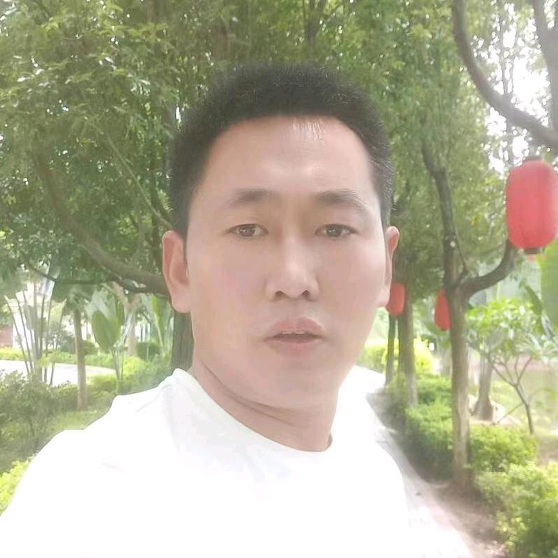 刘洋