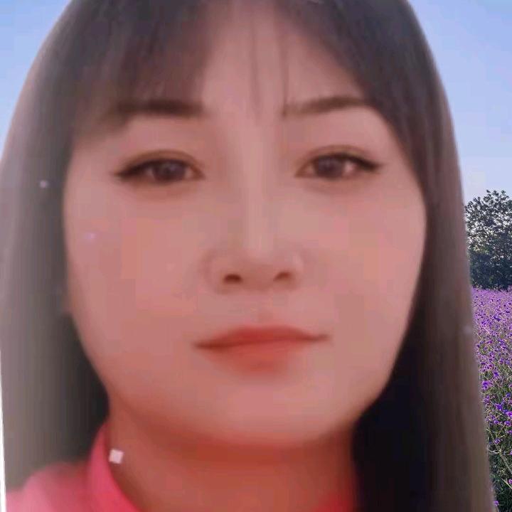 雪中梅