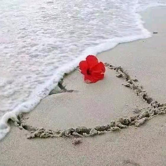 💞缘来是你💕