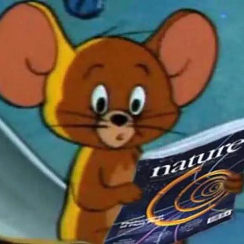 平常心...平常心