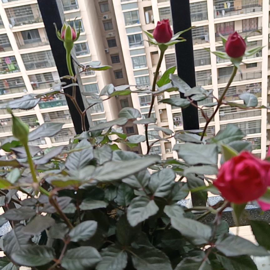 心态好一切都好