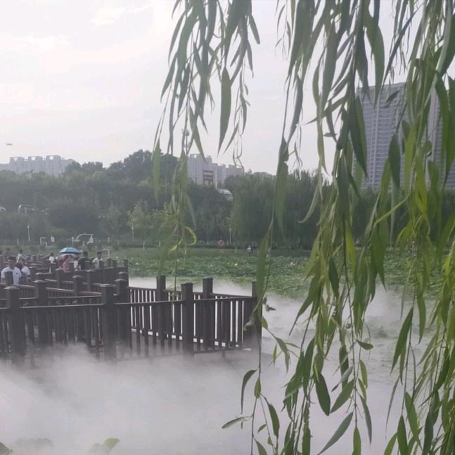 木门安装木工尹师