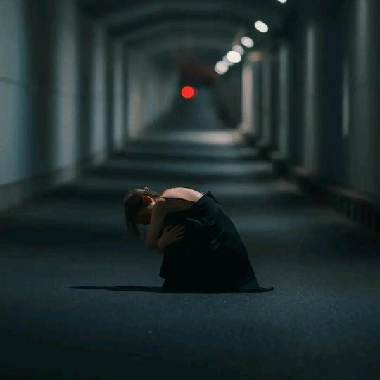 太阳当空赵•🌞