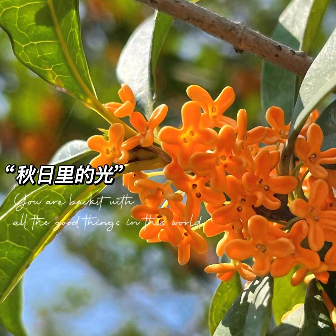宁勇强