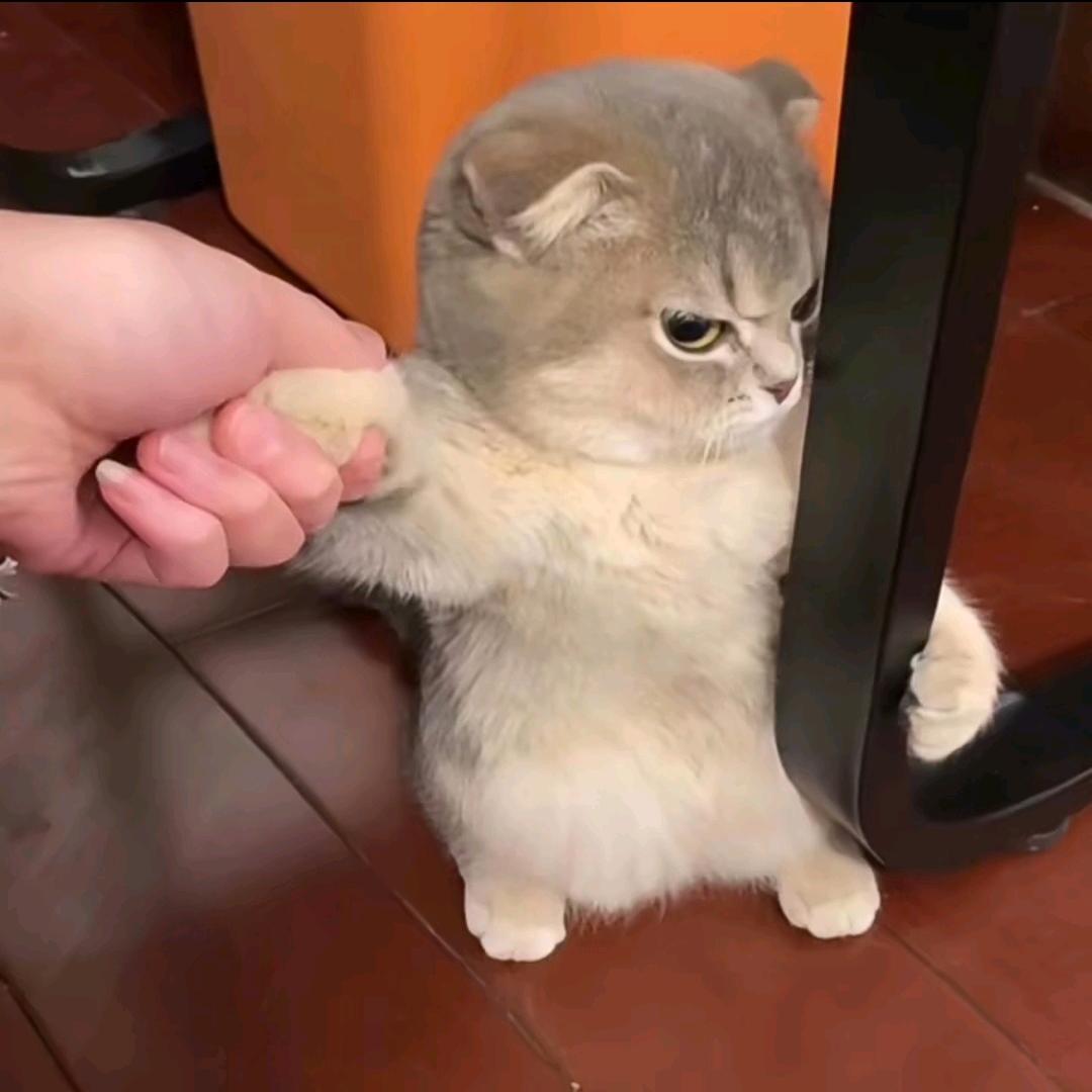 马克马克
